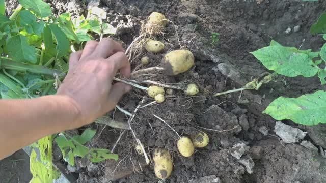 6 соток 7 июля 2025 года. 2 часть смотреть онлайн