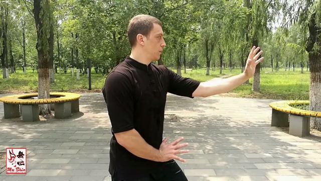 Десятиминутный учебник Синъи Цюань по Сань-Ти-Ши. Байрон Джейкобс