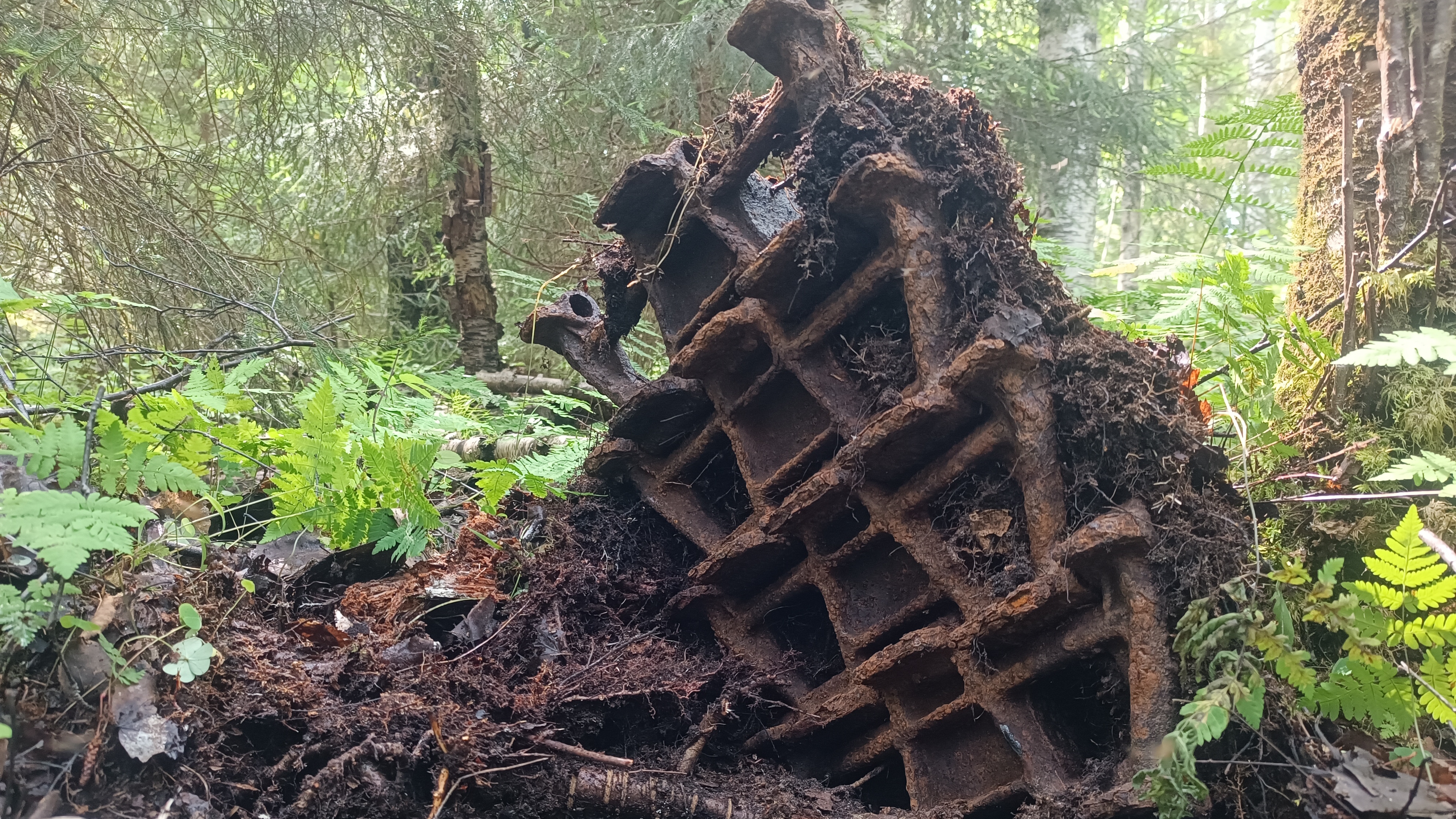 Выезд на один день . Снял  фотоловушку, выгул старого металлоискателя Tx 960 . Старик магёт )))