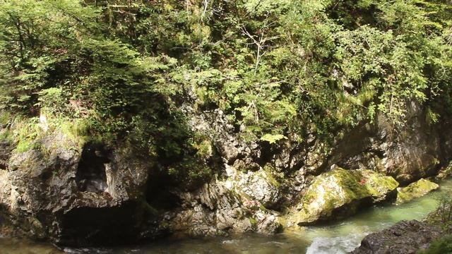 Словения. Ущелье Винтгар. Водопад и виадук. смотреть онлайн