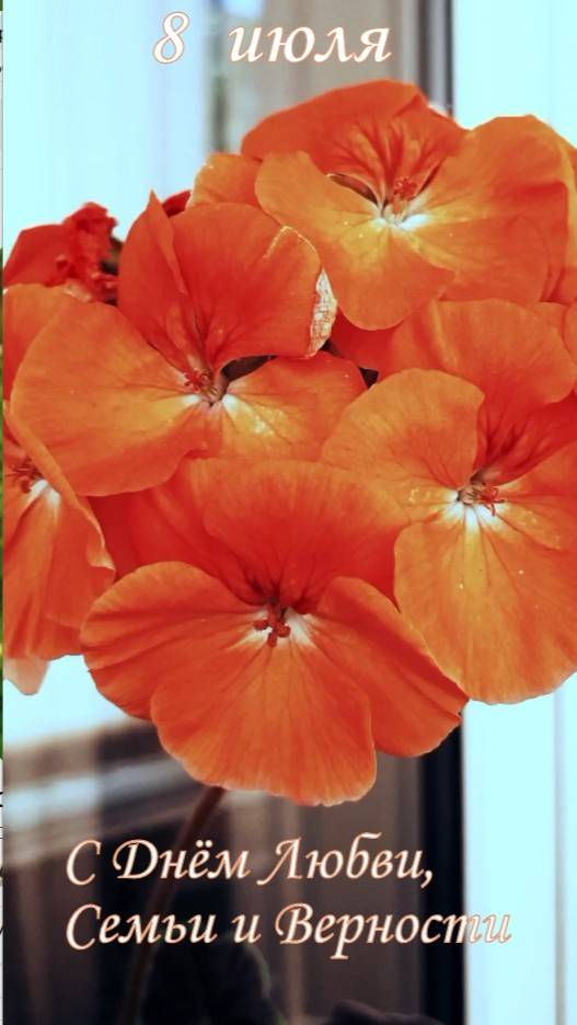 С Праздником, друзья! С Днём Семьи, Любви, Верности и Света!🧡 смотреть онлайн