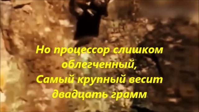 Древняя и вечная мечта