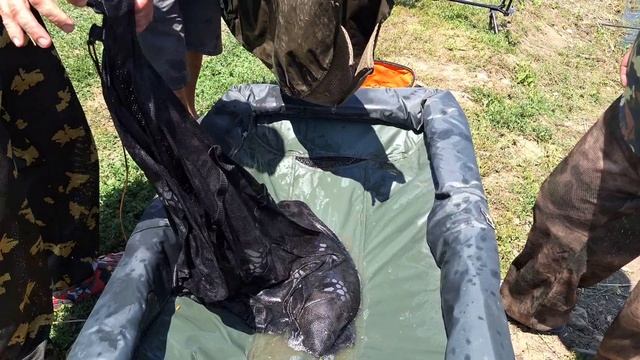 CarpFest 4 - 6 июля 2025 г