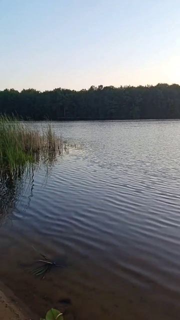 Закат на озере. смотреть онлайн