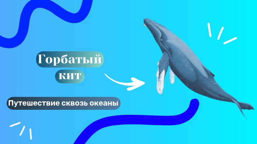 Горбатый кит! Путешествие сквозь океаны смотреть онлайн