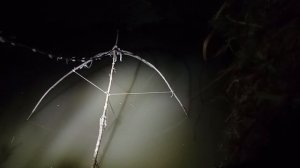 попались Сомы, на большой паук подъемник, рыбалка ночью