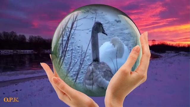 ЛЕБЕДИНАЯ ВЕРНОСТЬ.  Стас Михайлов