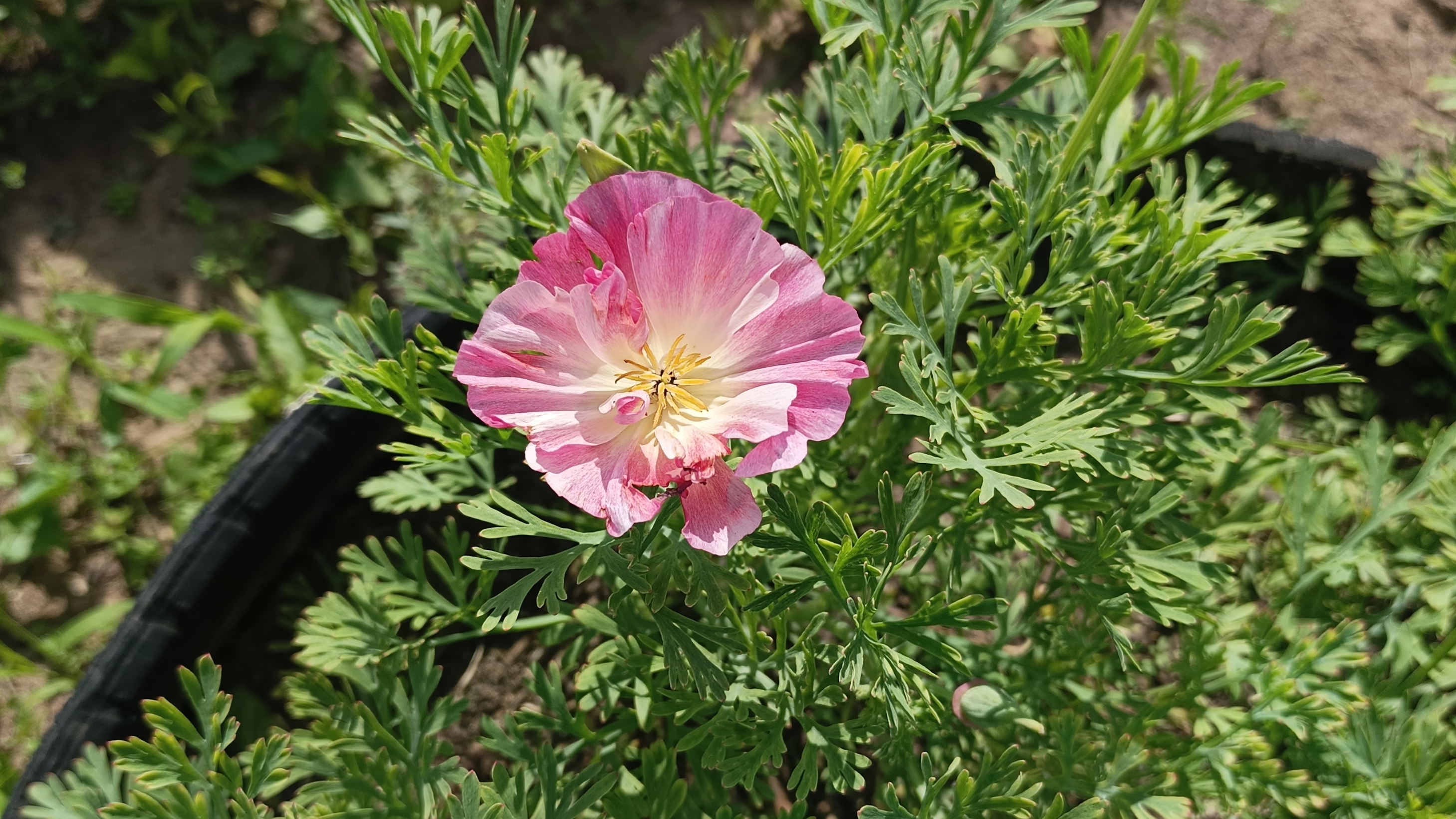 08-07-2025💥Влог💥вторник смотреть онлайн