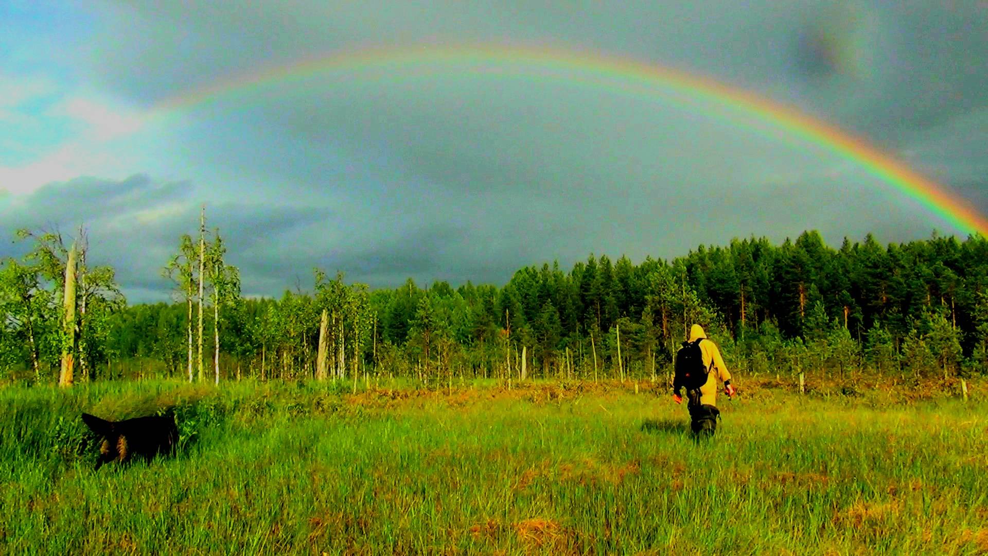 Нашёл!!! Попёрли рельсы и тракторный запчасти!! Рыбалка на лесном озере!! смотреть онлайн