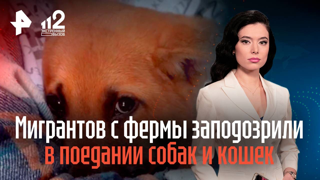 Мигрантов с подмосковной фермы заподозрили в поедании собак и кошек смотреть онлайн