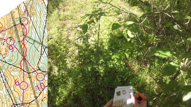 04 07 25, Памяти Героя России Бичаева А.О., М16, Ярослав, headcam orienteering
