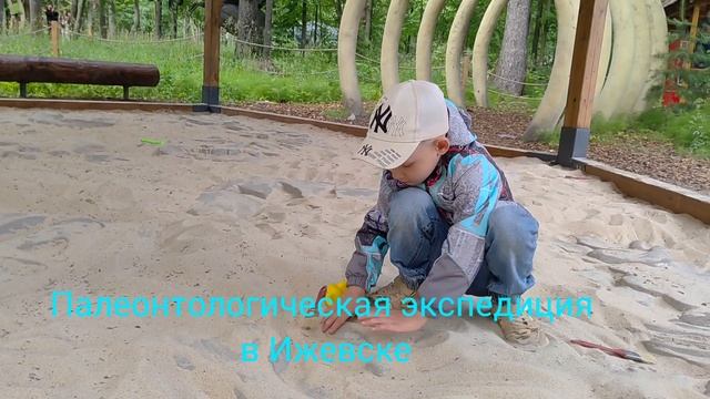 Палеонтологическая экспедиция в Ижевске смотреть онлайн