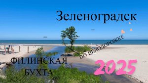 Из Зеленоградска по велодорожке до Филинской бухты. июль 2025