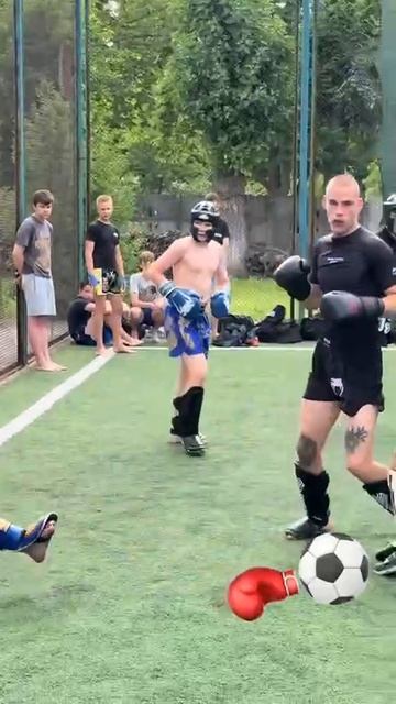 Бокс и футбол смотреть онлайн