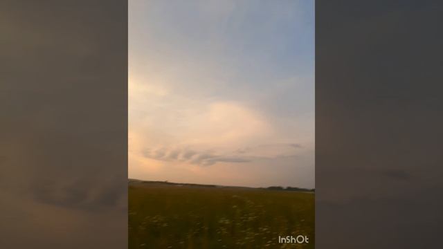 Июльский вечер после дождя.mp4 смотреть онлайн