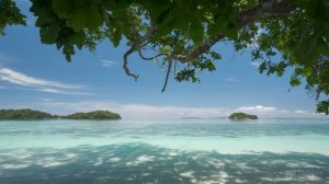 Эрнесто Кортазар. Бог послал мне ангела. Ernesto Cortazar. Bog poslal mne angela