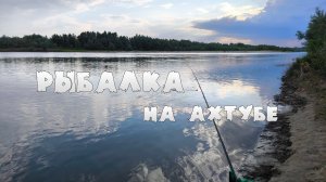 ФИДЕРНАЯ РЫБАЛКА НА АХТУБЕ