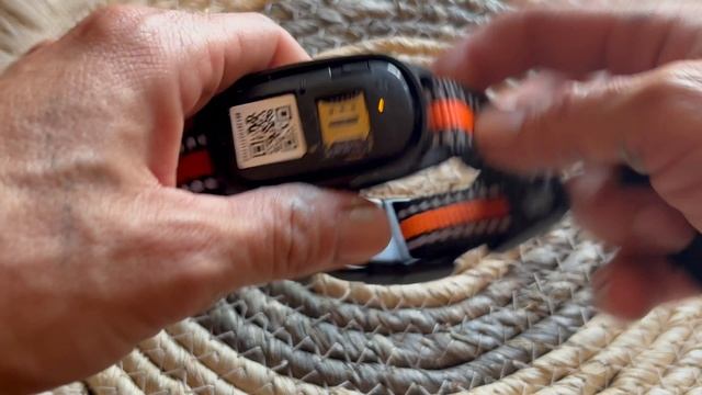 GPS - ошейник Petsee. Чтоб питомец не потерялся. Трекер для котов и собак.