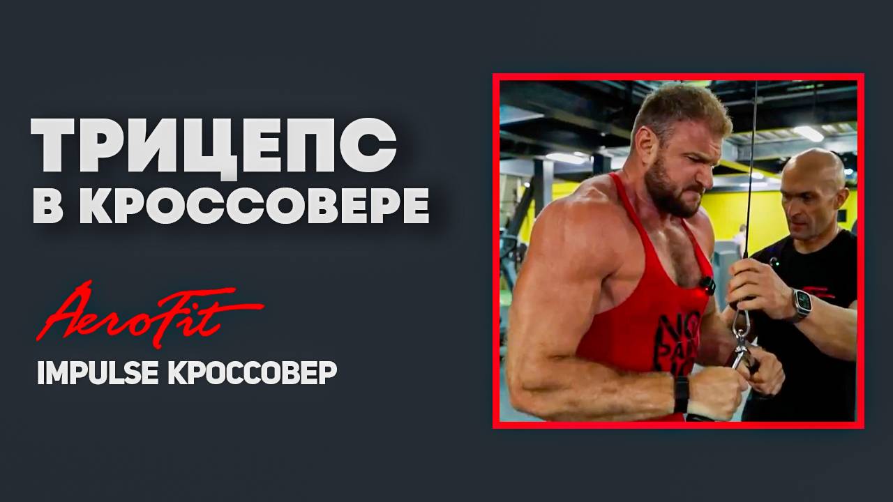 ТРИЦЕПС По Федорову в Кроссовере Impulse IT95 смотреть онлайн