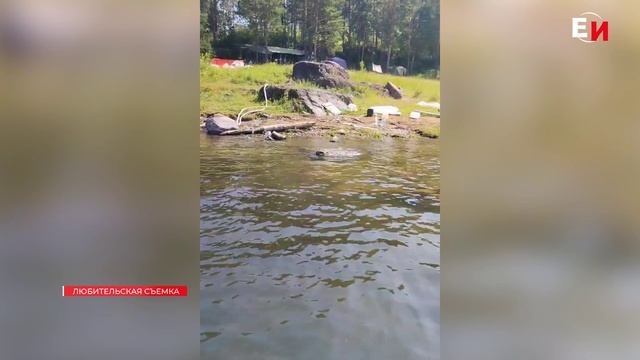 АВАРИЙНЫЙ ПАРОХОД В КАЗАЧИНСКОМ РАЙОНЕ ОТБУКСИРОВАЛИ смотреть онлайн