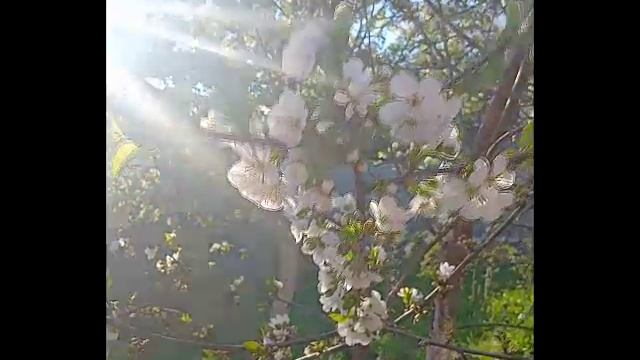 КОМЕДИЯ РОК Надежда есть!!! смотреть онлайн