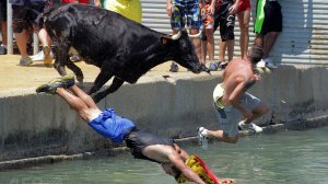 Смешные видео ● неудачные падения в воду, подборка Приколы над людьми