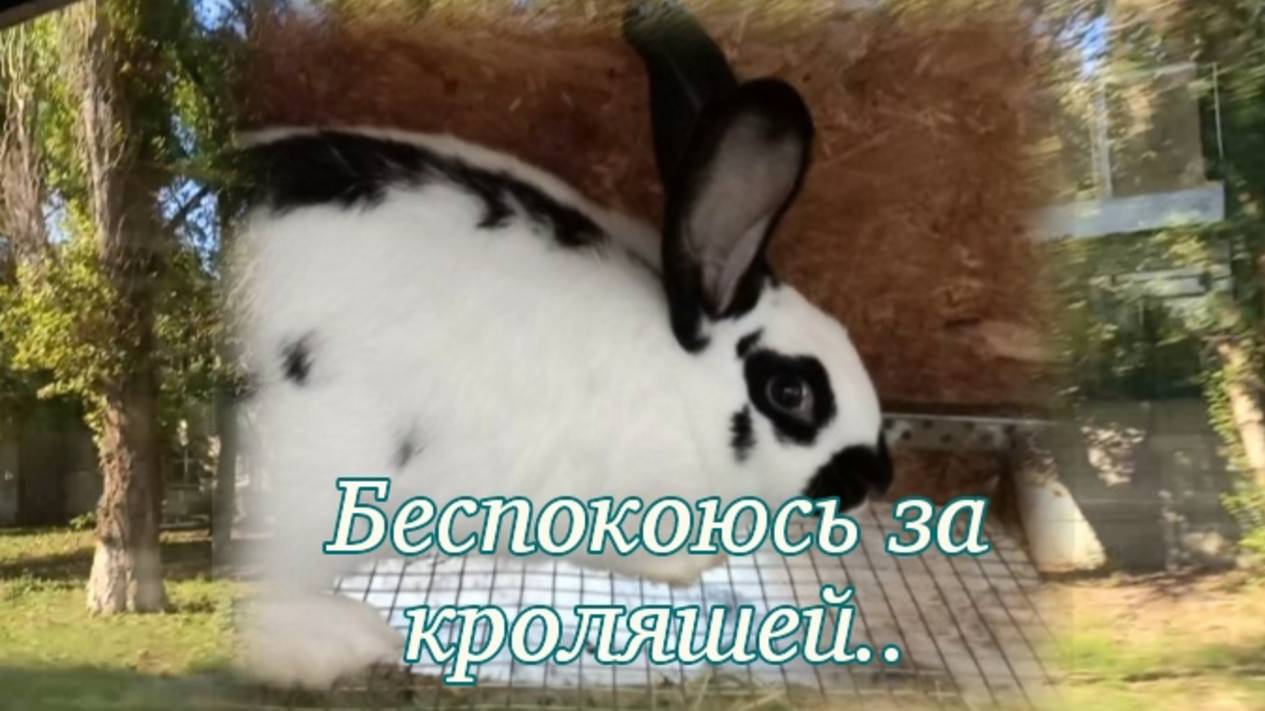 Переживаю... смотреть онлайн
