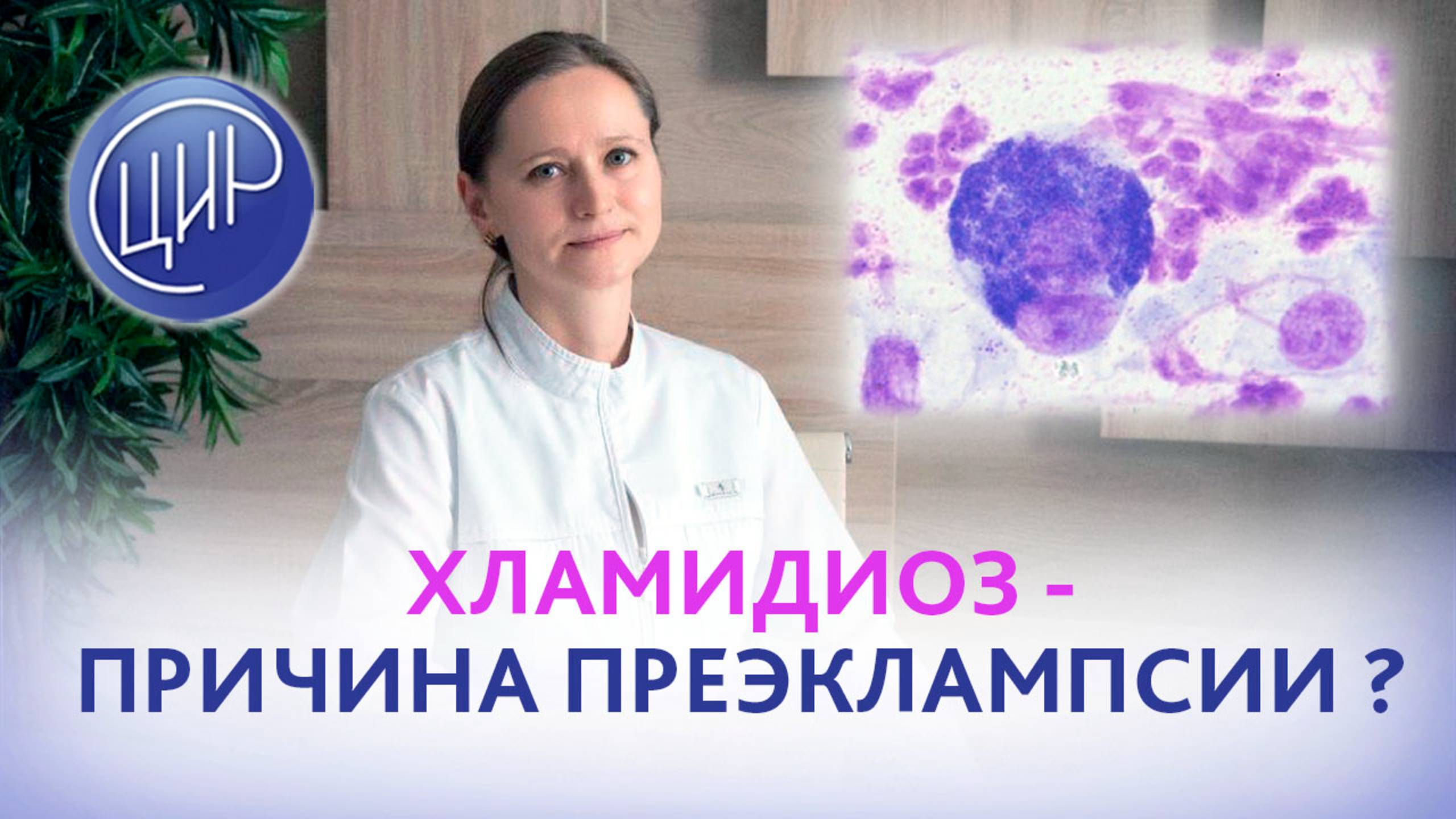 Хламидиоз, преэклампсия и 3 неудачные беременности. Может ли храмидиоз быть причиной преэклампсии?