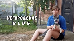 Женя и помощники. Травма... 01.07.25