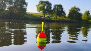 ОНИ РВУТ СНАСТИ, ЗАВОДЯТ В КОРЯГИ!!! Рыбалка на толстолобика