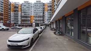 Шушары. Июль 2025.