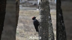 Это интересно-24