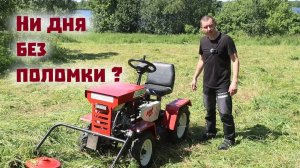 Превратилась ли в страдание сенокосная страда?