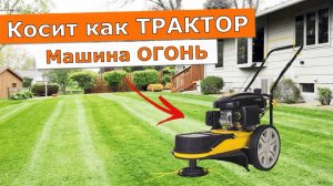 Триммер колесный бензиновый Champion LMH5629