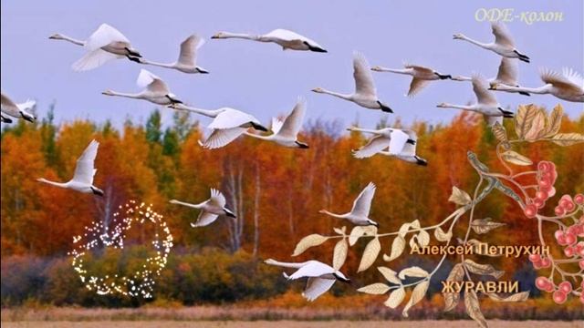 Алексей Петрухин — Журавли смотреть онлайн