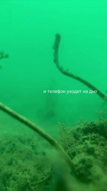 Краб на дне чёрного моря снял короткий обзор на свою жизнь. смотреть онлайн