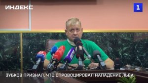 Зубков признал, что спровоцировал нападение льва