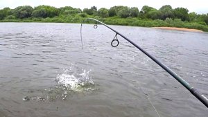 ФАНТАСТИЧЕСКИЙ СЛУЧАЙ на РЫБАЛКЕ. Ловил на спиннинг на Оке. Запомню надолго.