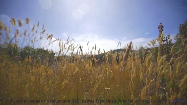 Поля и музыка заставляют забыть про реальность - Save Yourself -- Makaih Beats -- Save Yourself смотреть онлайн