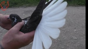 Вечер, +29°С.