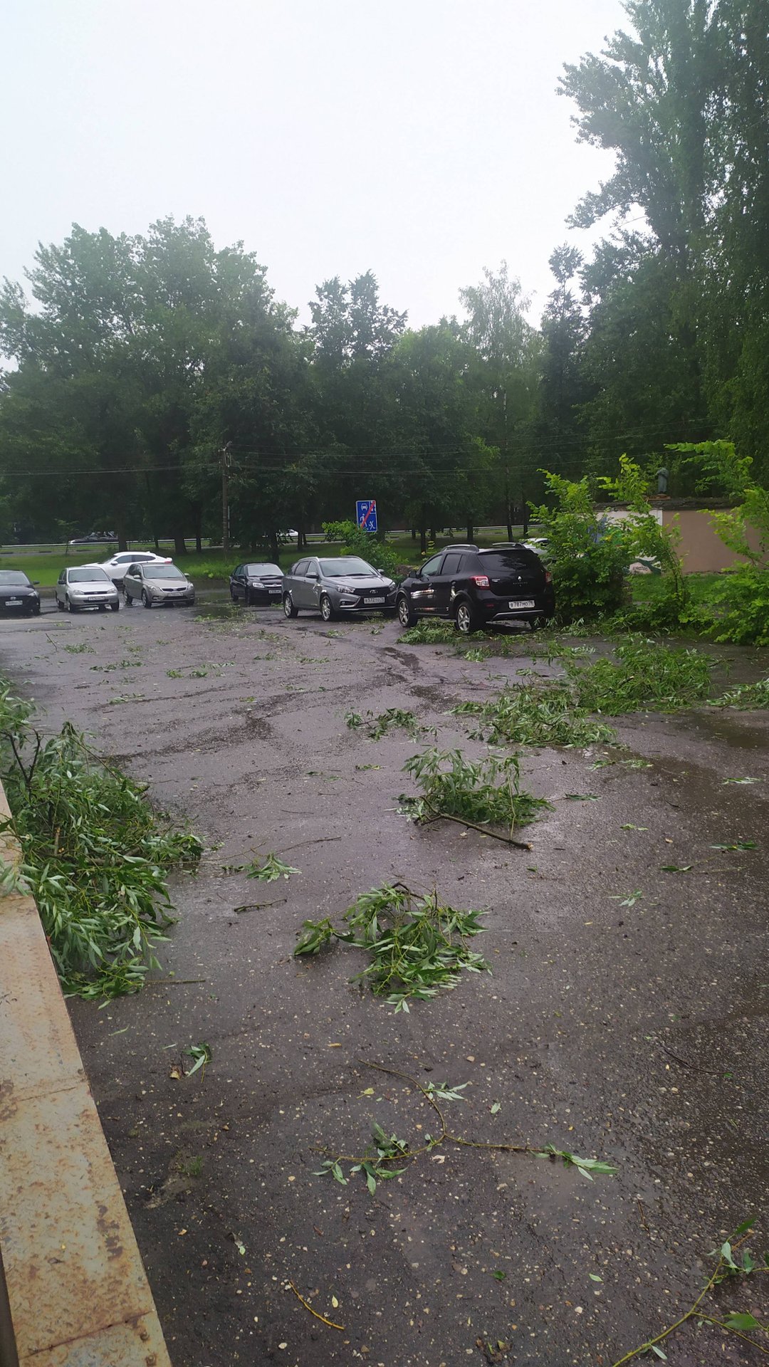 ярославль. гром молнии ливень. день семьи.любви. и верности.. 08.07.2025.