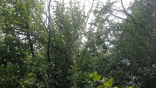 Думки о Настоящем!