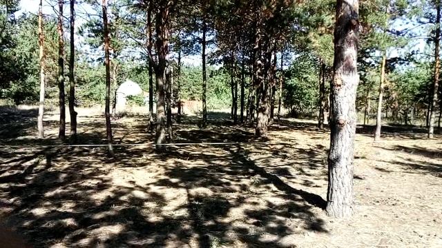 VID_20180914_131250 смотреть онлайн