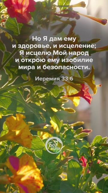 Иеремия 33:6 смотреть онлайн