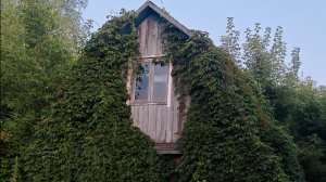 Отличные находки из деревни, которую сносят.