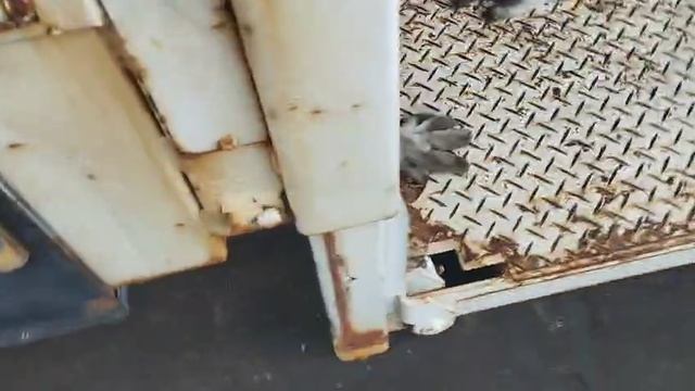 1000262391.mp4 смотреть онлайн
