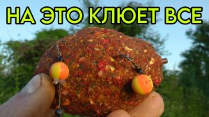 ЭТО ВЫЛОВИТ ВСЕХ САЗАНОВ И КАРПОВ #карп #карась #рыбалка #флэтфидер #флэт #макушатник #жмыховка