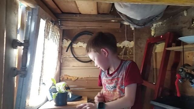 Обзор на домик