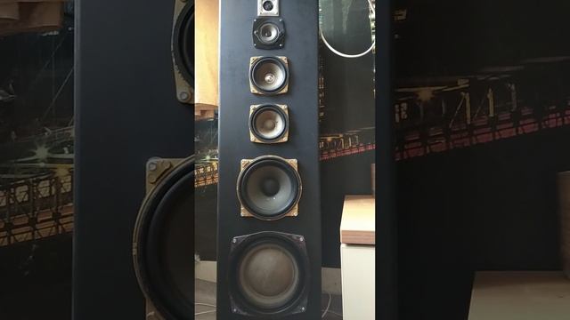 Rainbow🌈
запись с концертной площадки смотреть онлайн