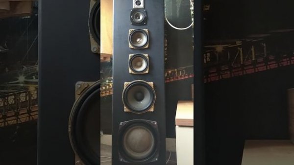 Rainbow🌈
запись с концертной площадки